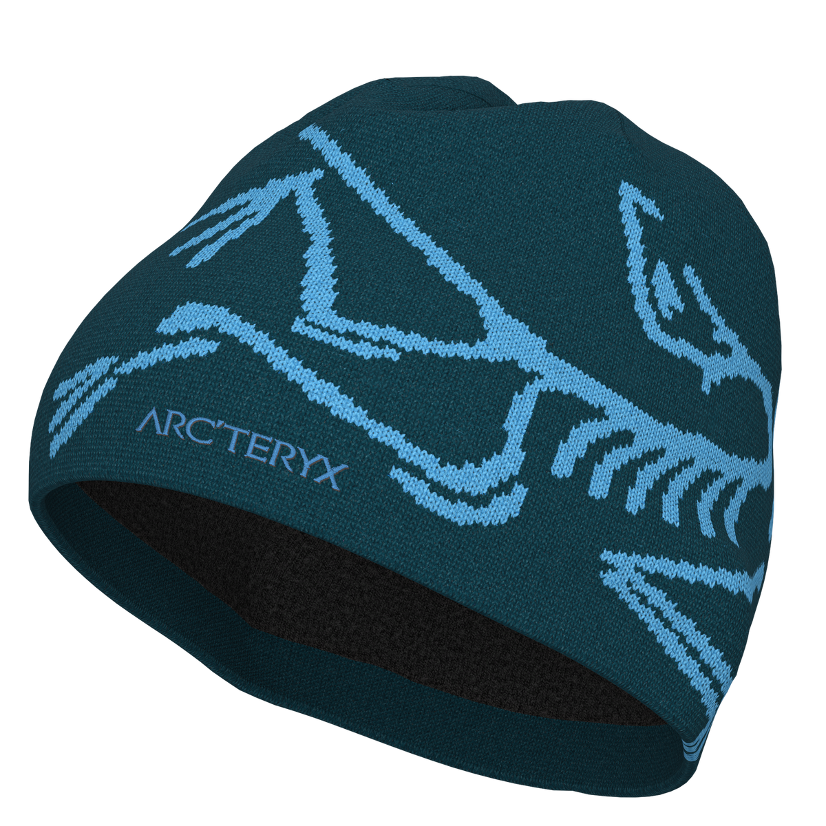 Tuque Bird Head Toque - Arc'teryx – DELIRE.boutique