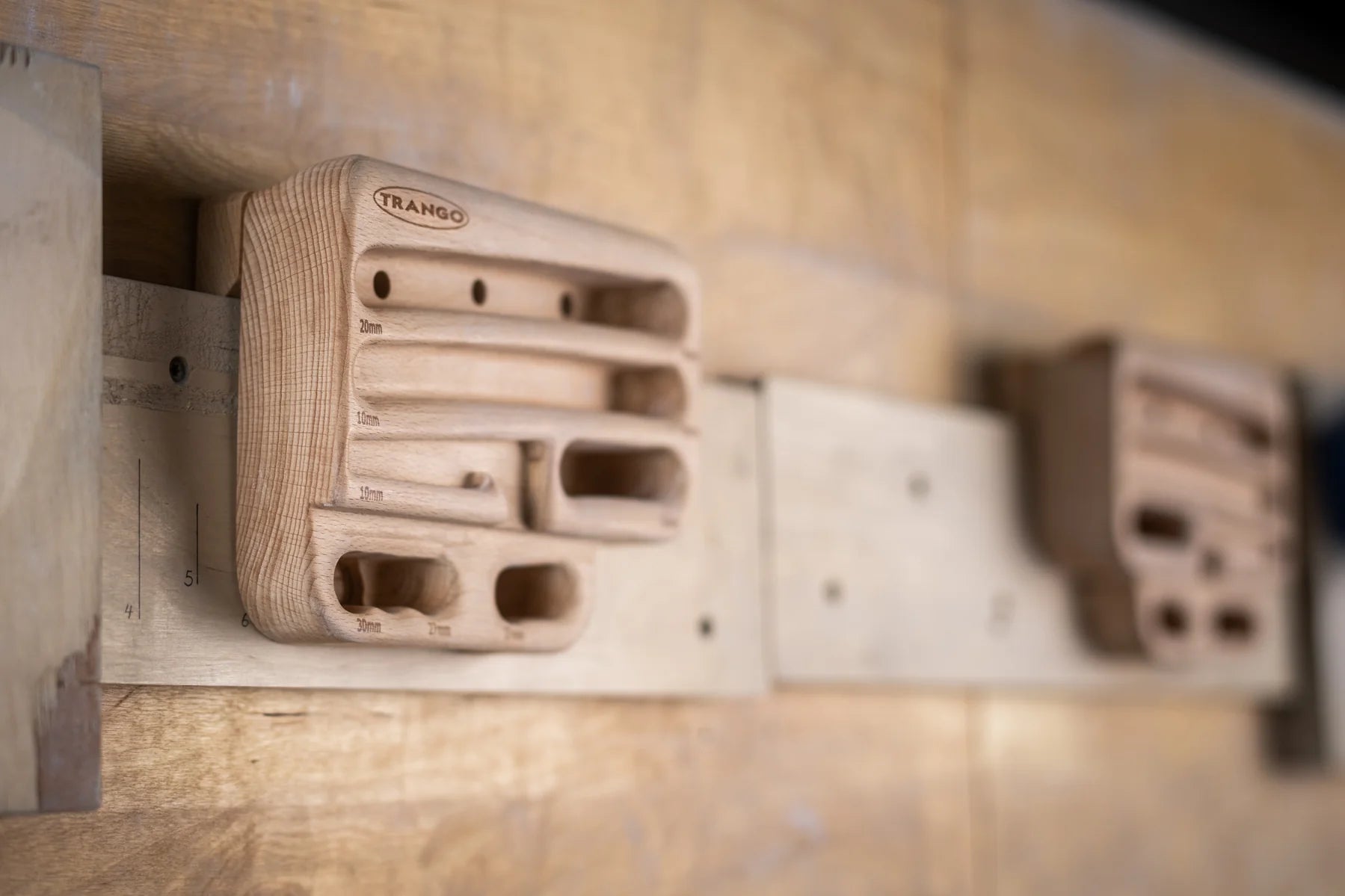 Poutre d'entrainement Rock Prodigy Natural - Trango