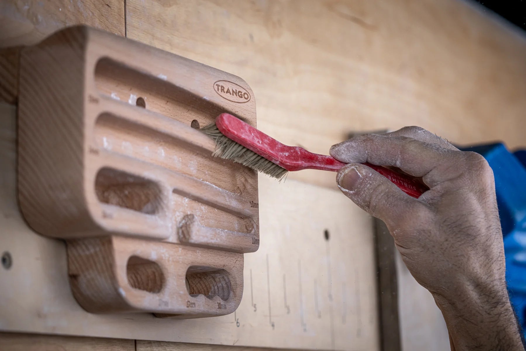 Rock Prodigy Natural Training Board - Trango 