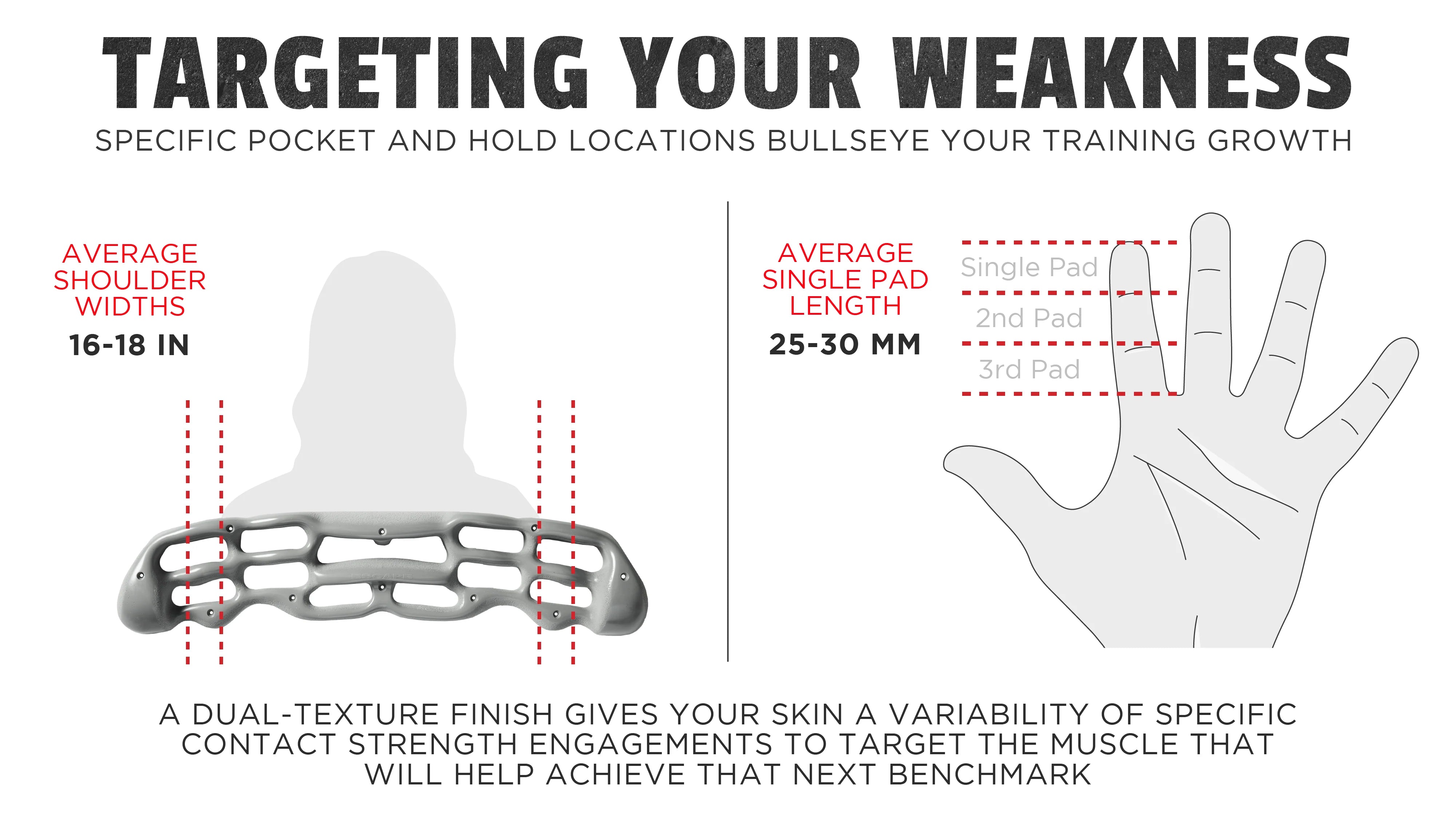 Beta Board training beam - Escape Climbing 