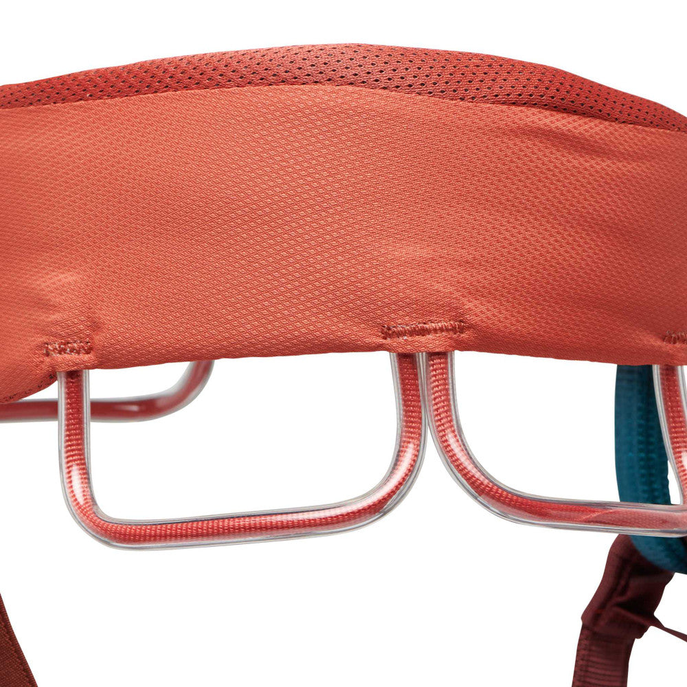 Momentum Harness Woman - Black Diamond 