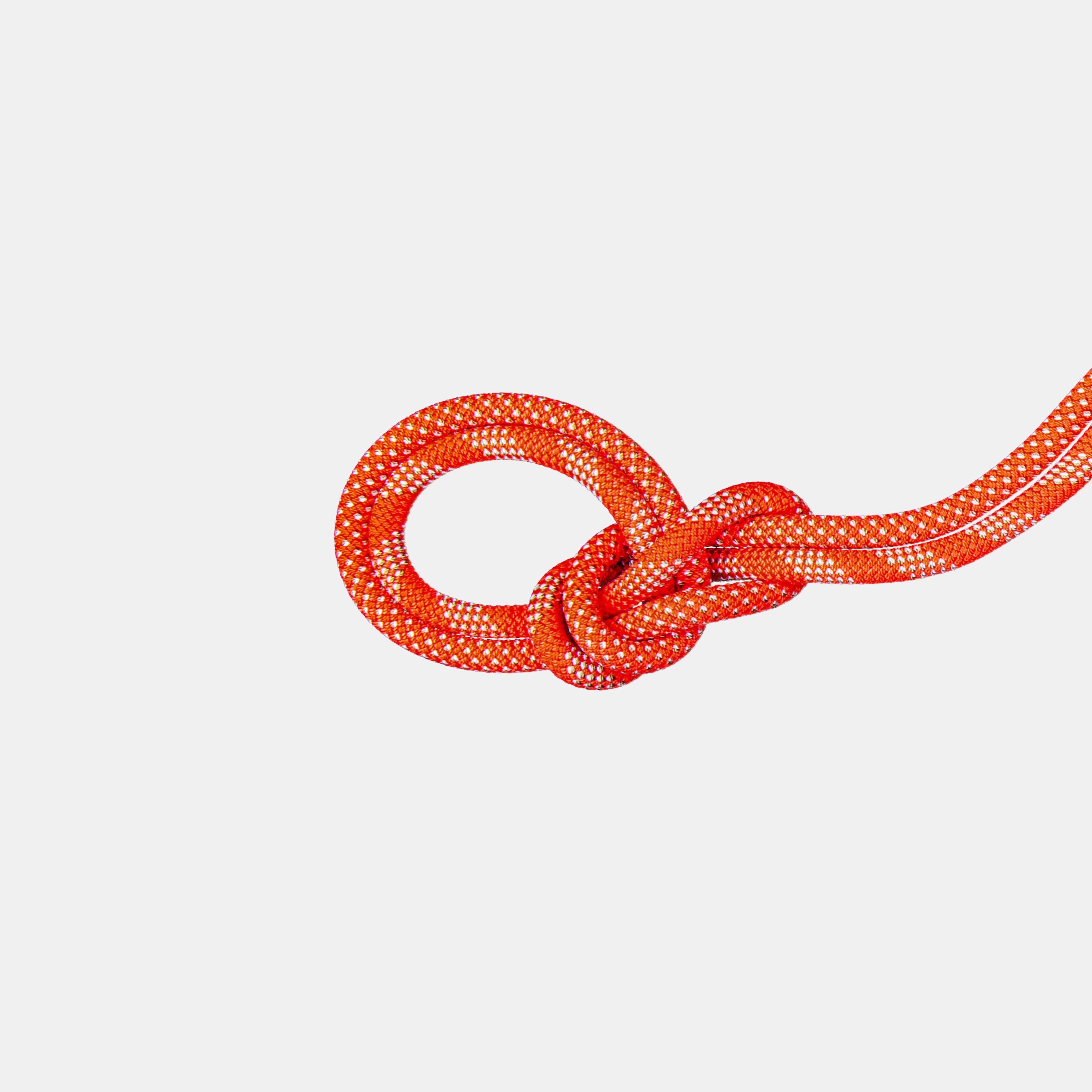 9.8 Crag Classic Rope - Mammut 