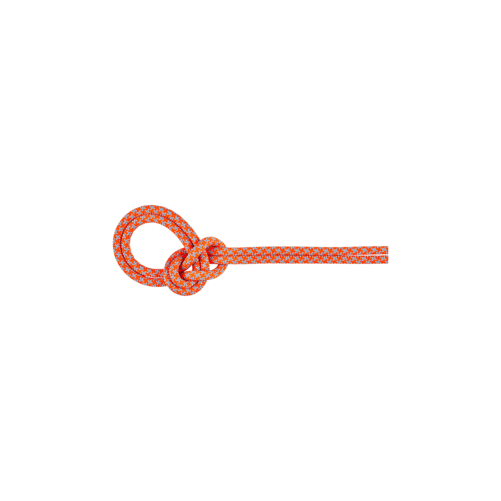 Rope 8.7 Crag Sender Dry *LIQUIDATION 25%* - Mammut 