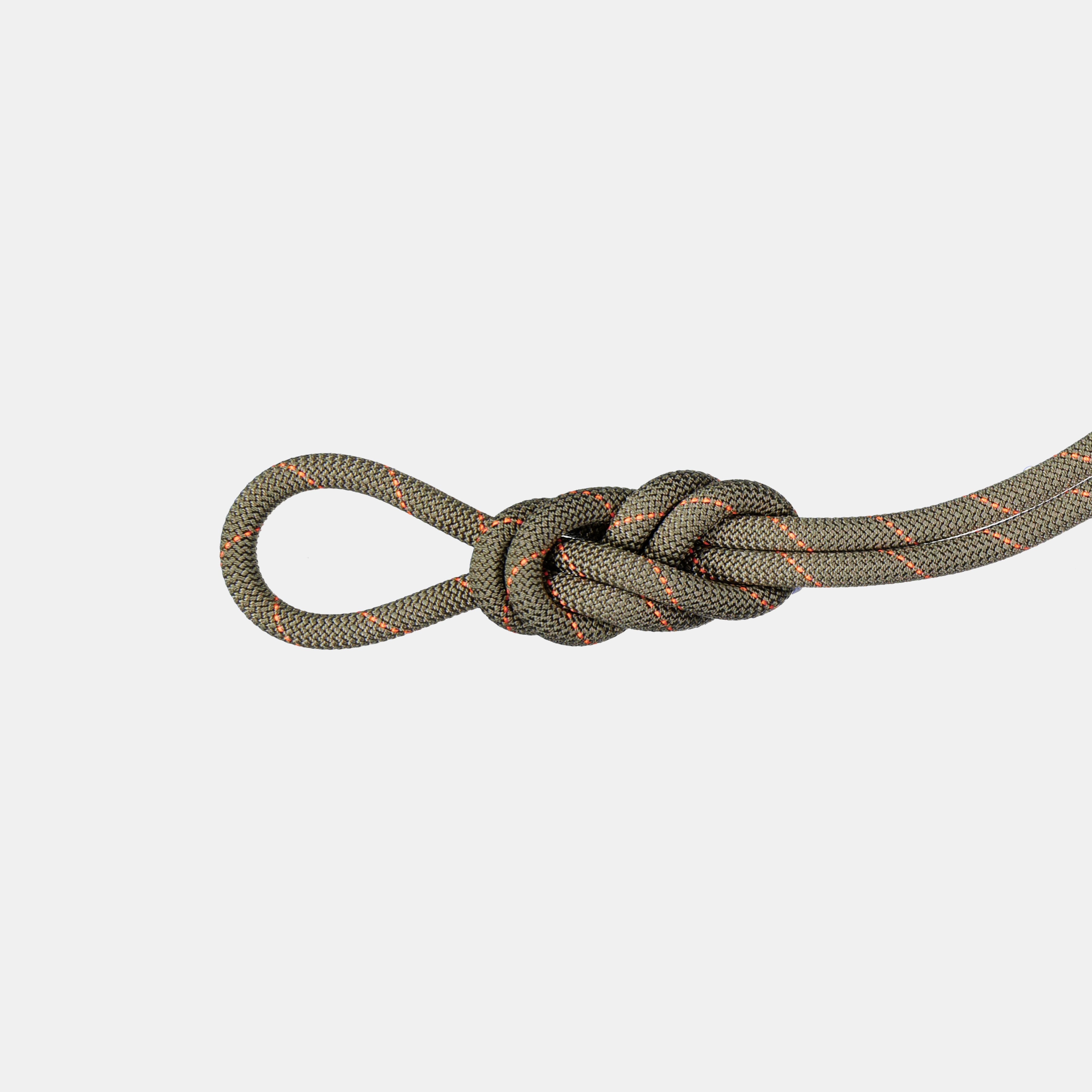 9.9 Gym Workhorse Classic Rope - Mammut 