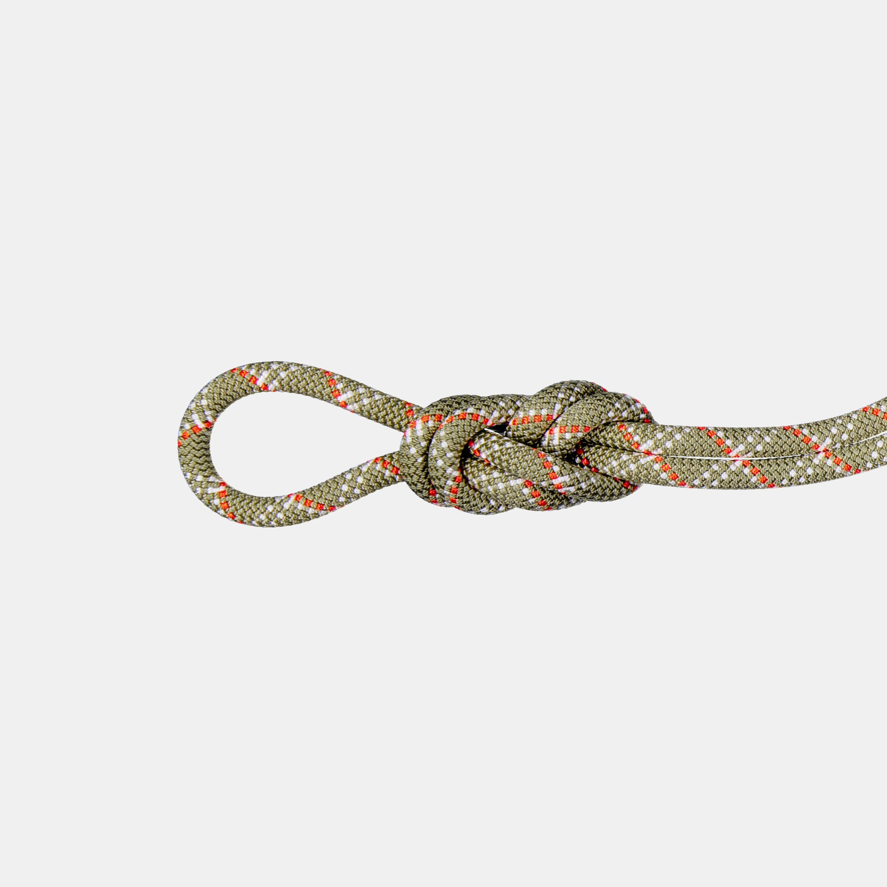 Corde 9.5 Gym Classic - Mammut