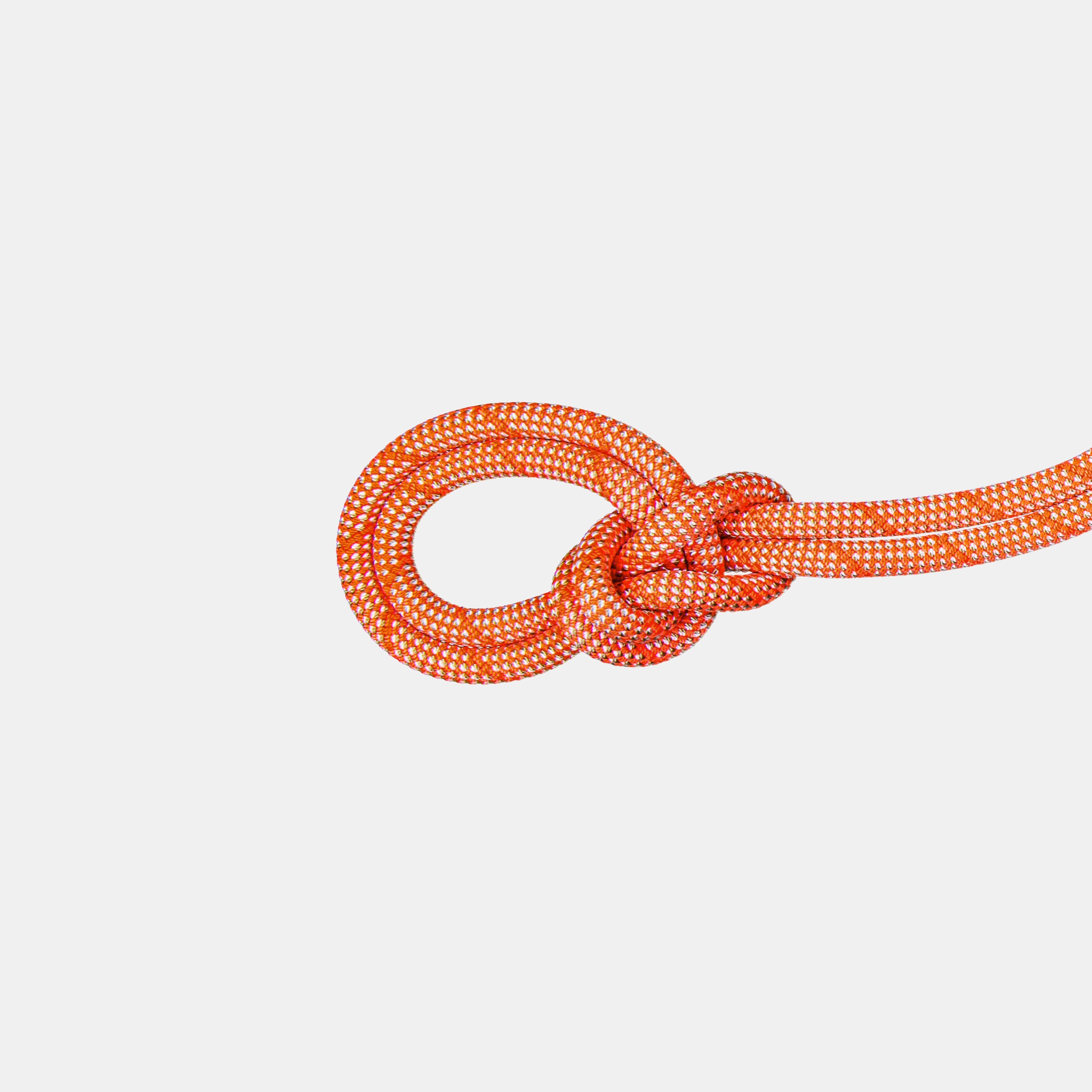 9.8 Crag Classic Rope - Mammut 