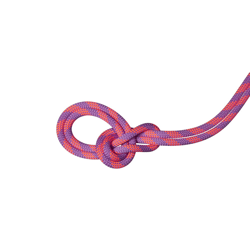 Corde 9.5 Crag Dry Duodess - Mammut