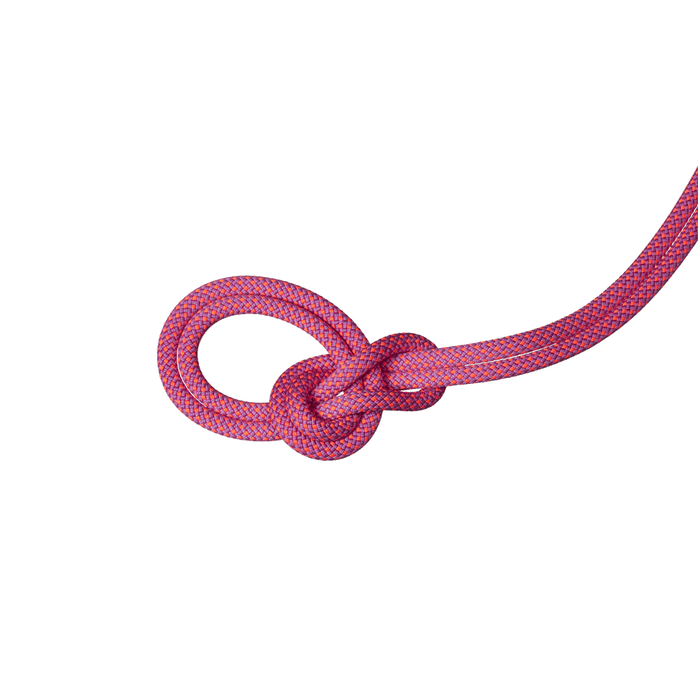 Corde 9.5 Crag Dry Duodess - Mammut