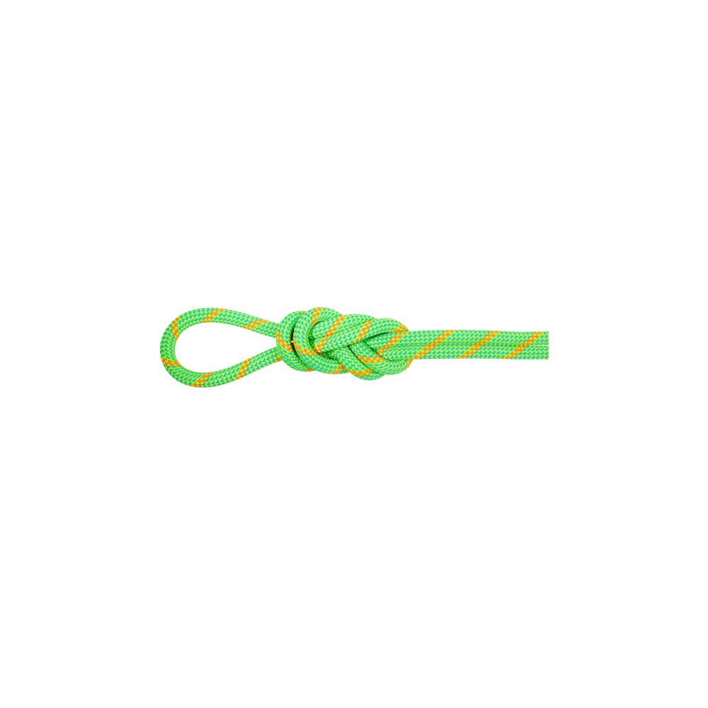 Corde Alpine Dry 8.0 - Mammut