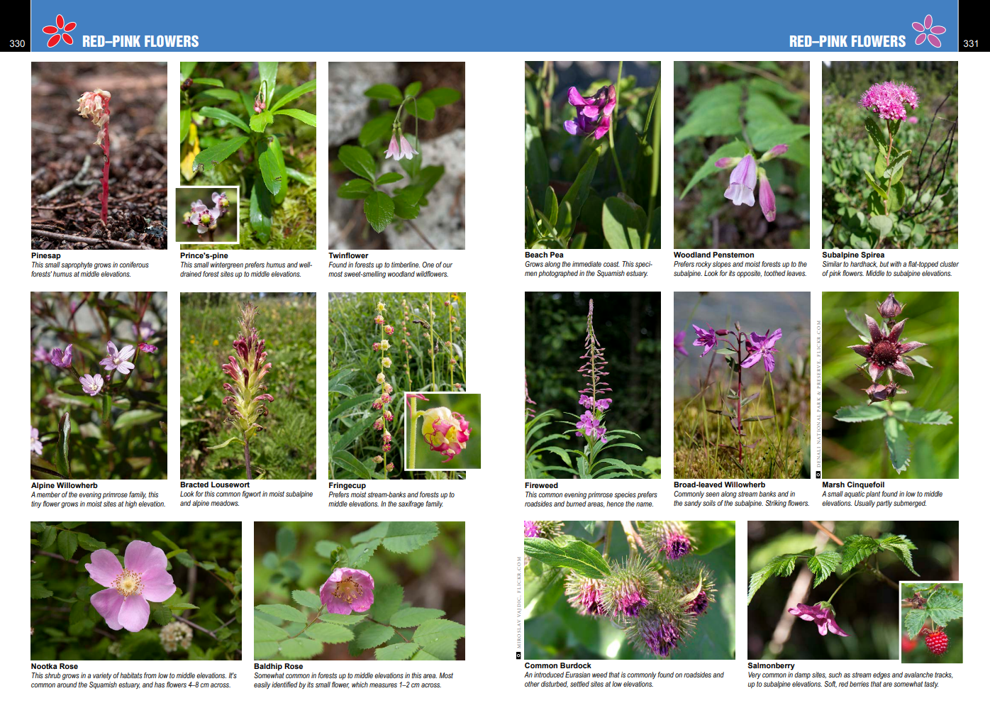 Guide d'escalade Squamish Hiking - QuickDraw Publications