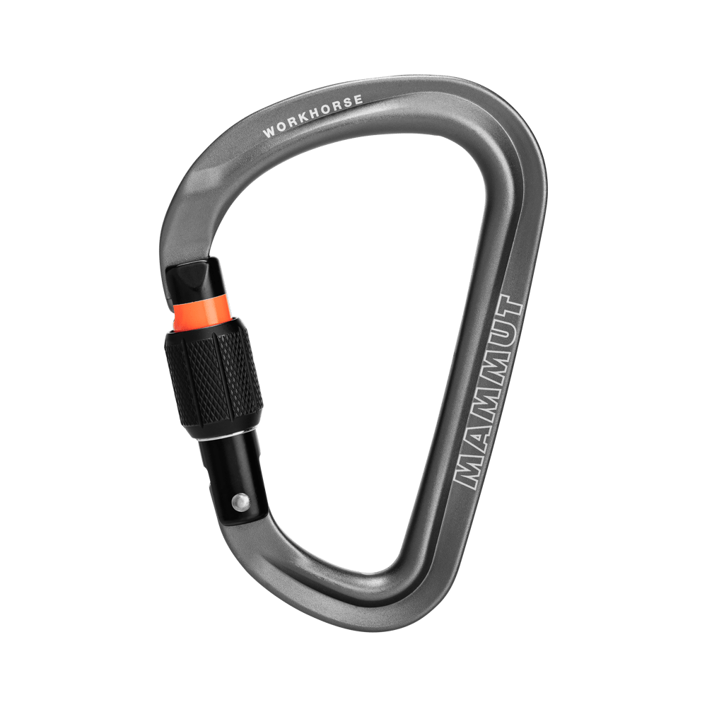 Workhorse HMS Carabiner - Mammut 