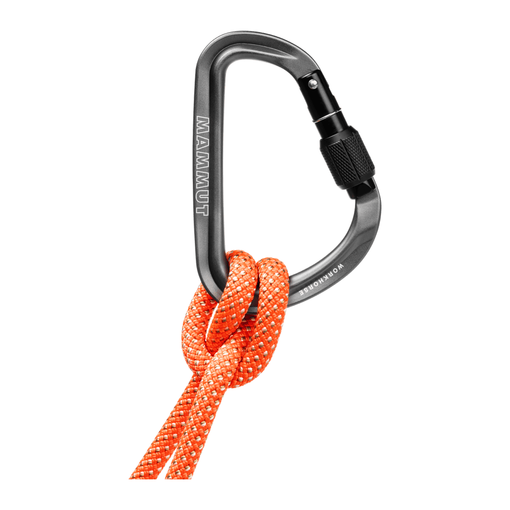 Workhorse HMS Carabiner - Mammut 