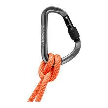 Load the image in the gallery, Workhorse HMS Carabiner - Mammut 
