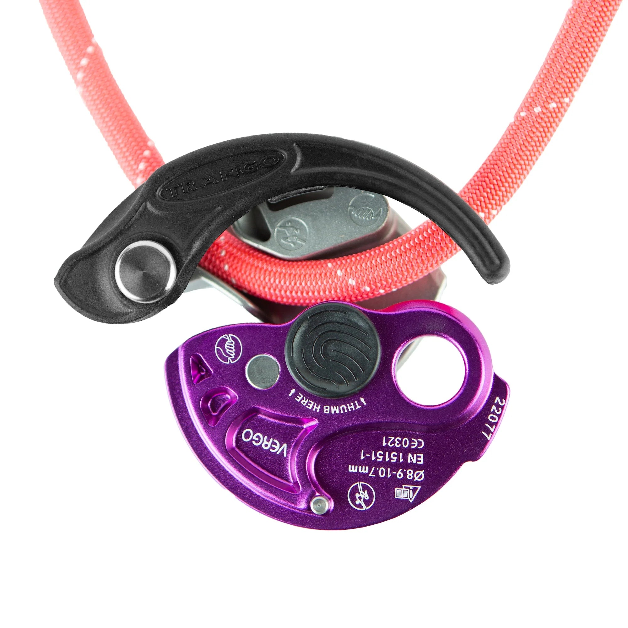 Assureur Vergo - Trango