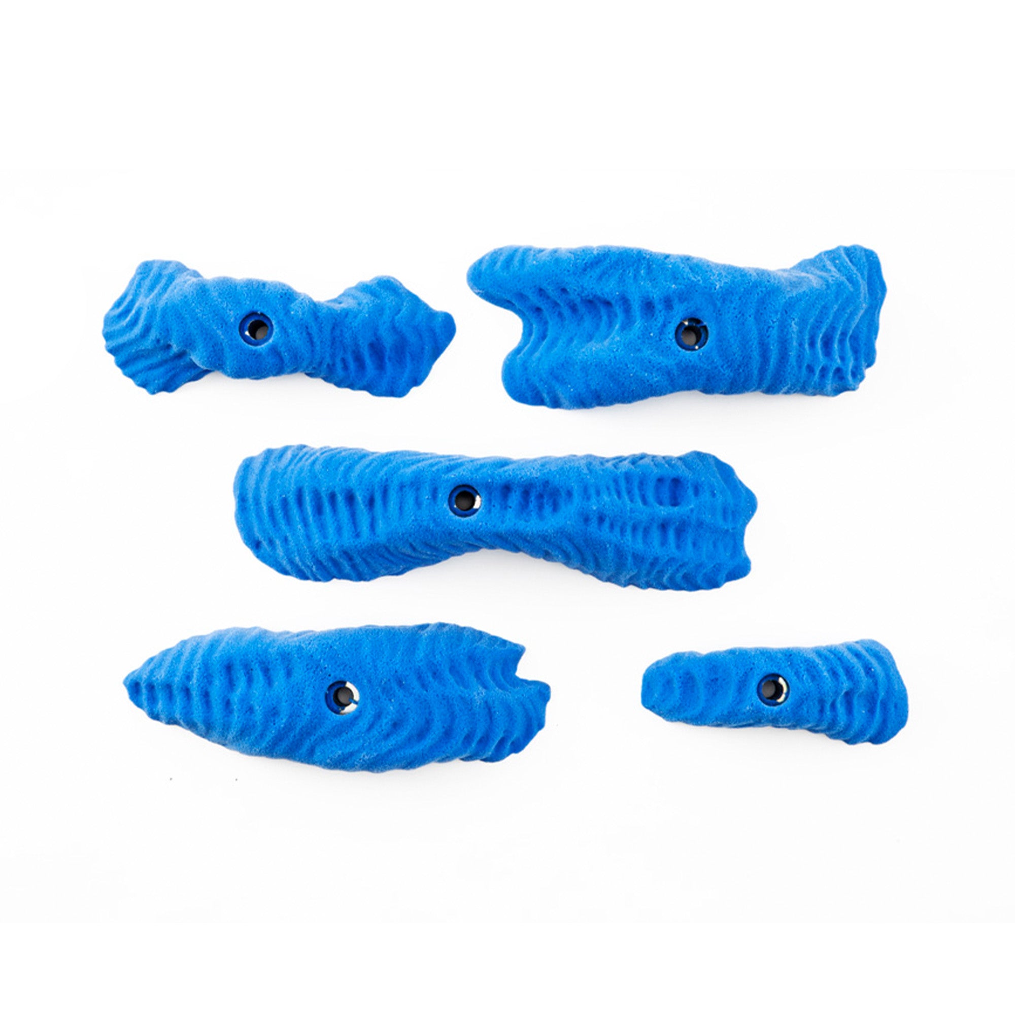 Prise d'escalade Classic Home Gym Kit - Trango