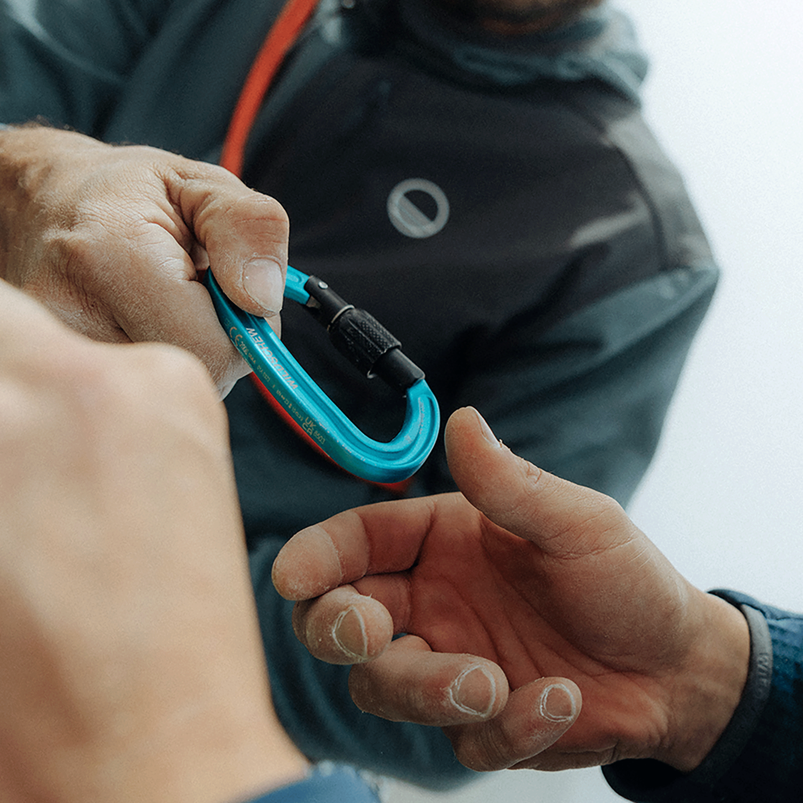 Wildscrew Carabiner - Wild Country 