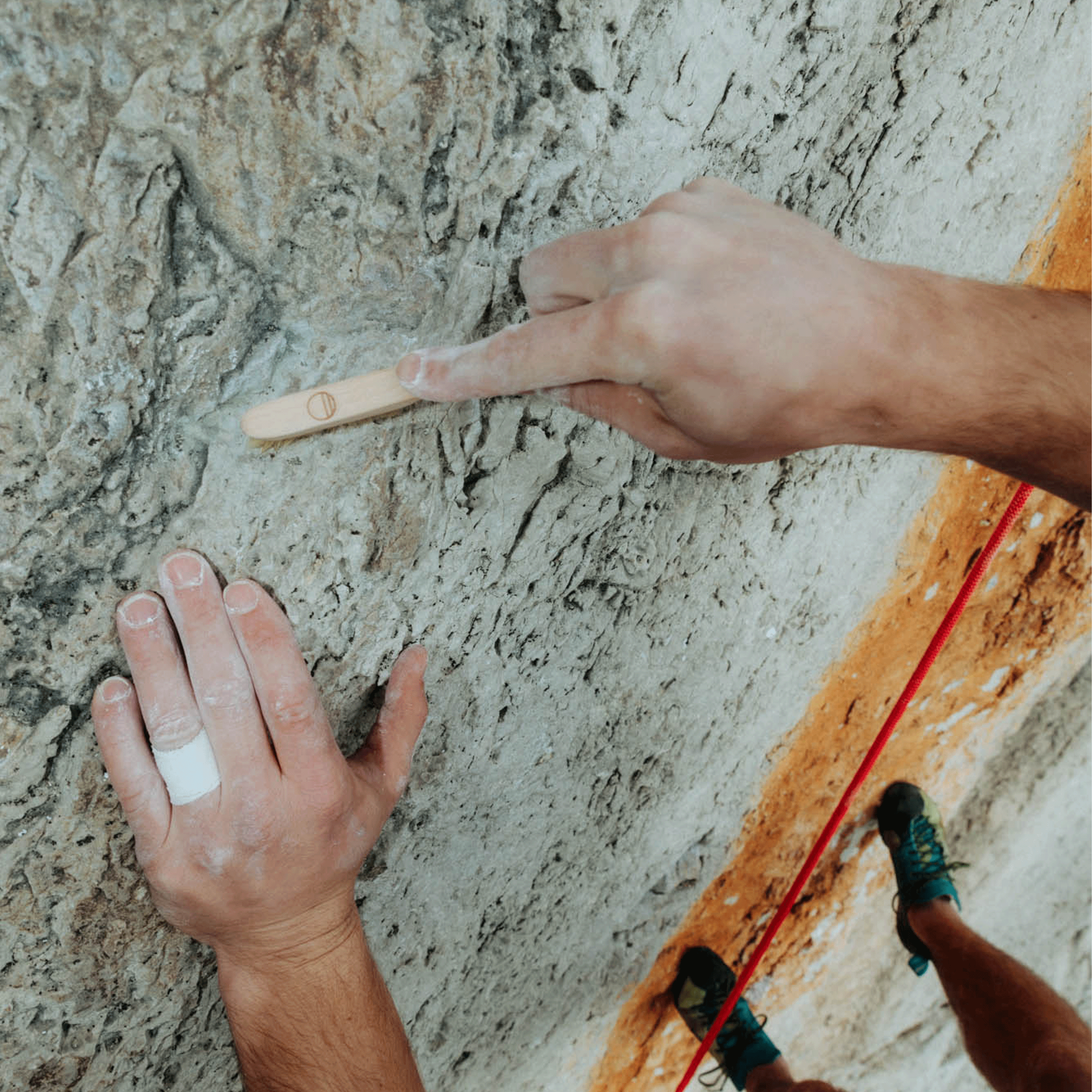 Small Brush - Wild Country 