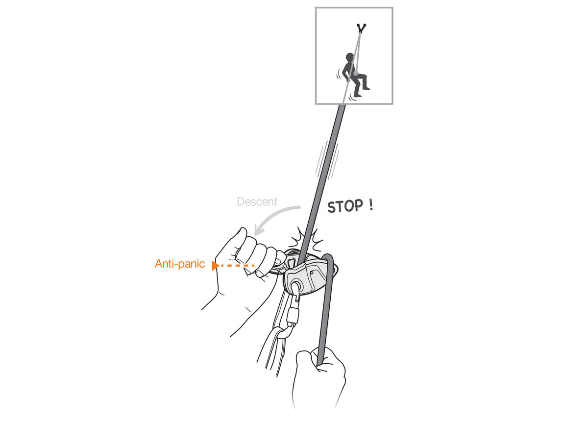 Assureur Grigri+ - Petzl