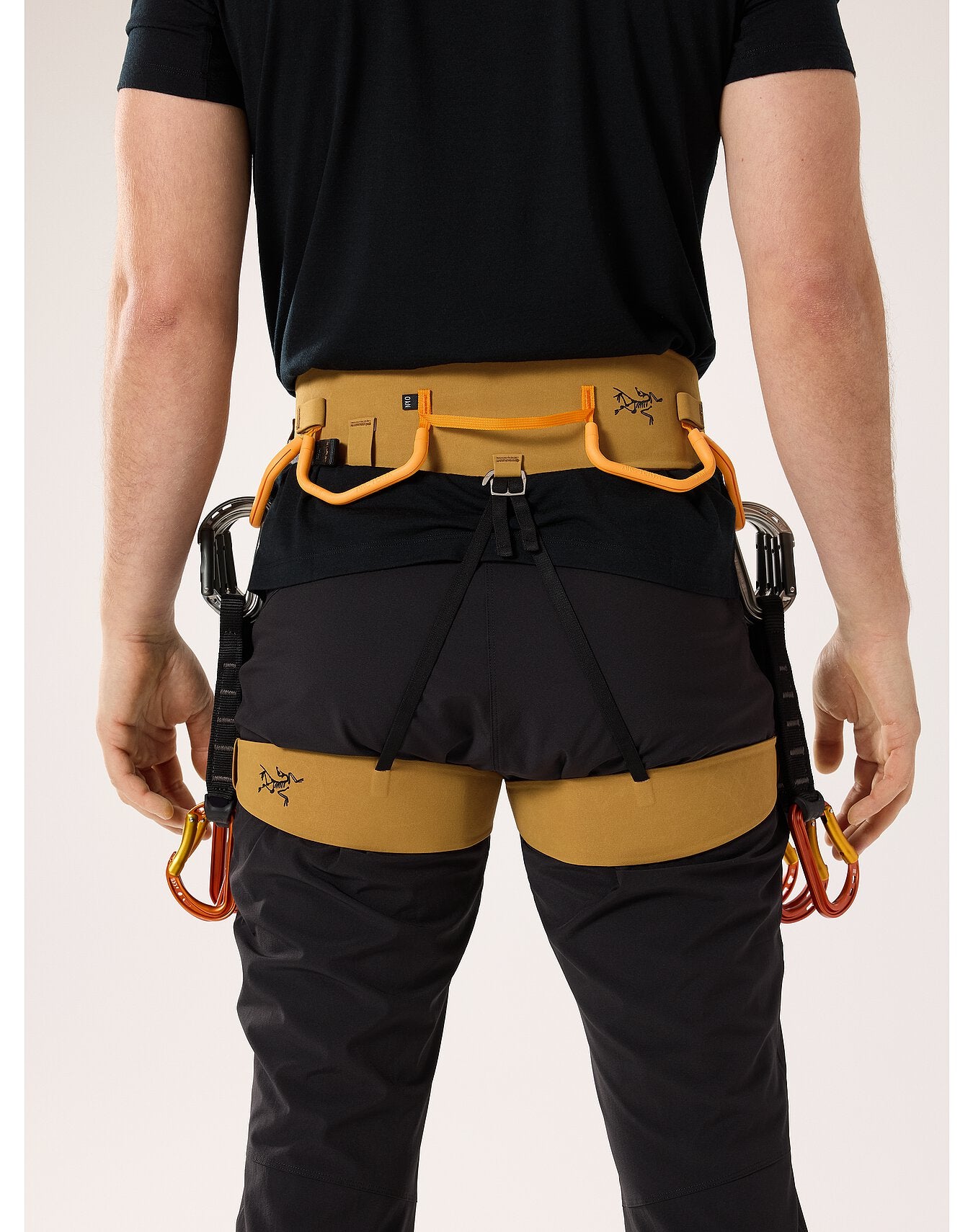 AR-395A Harness - Arc'teryx 