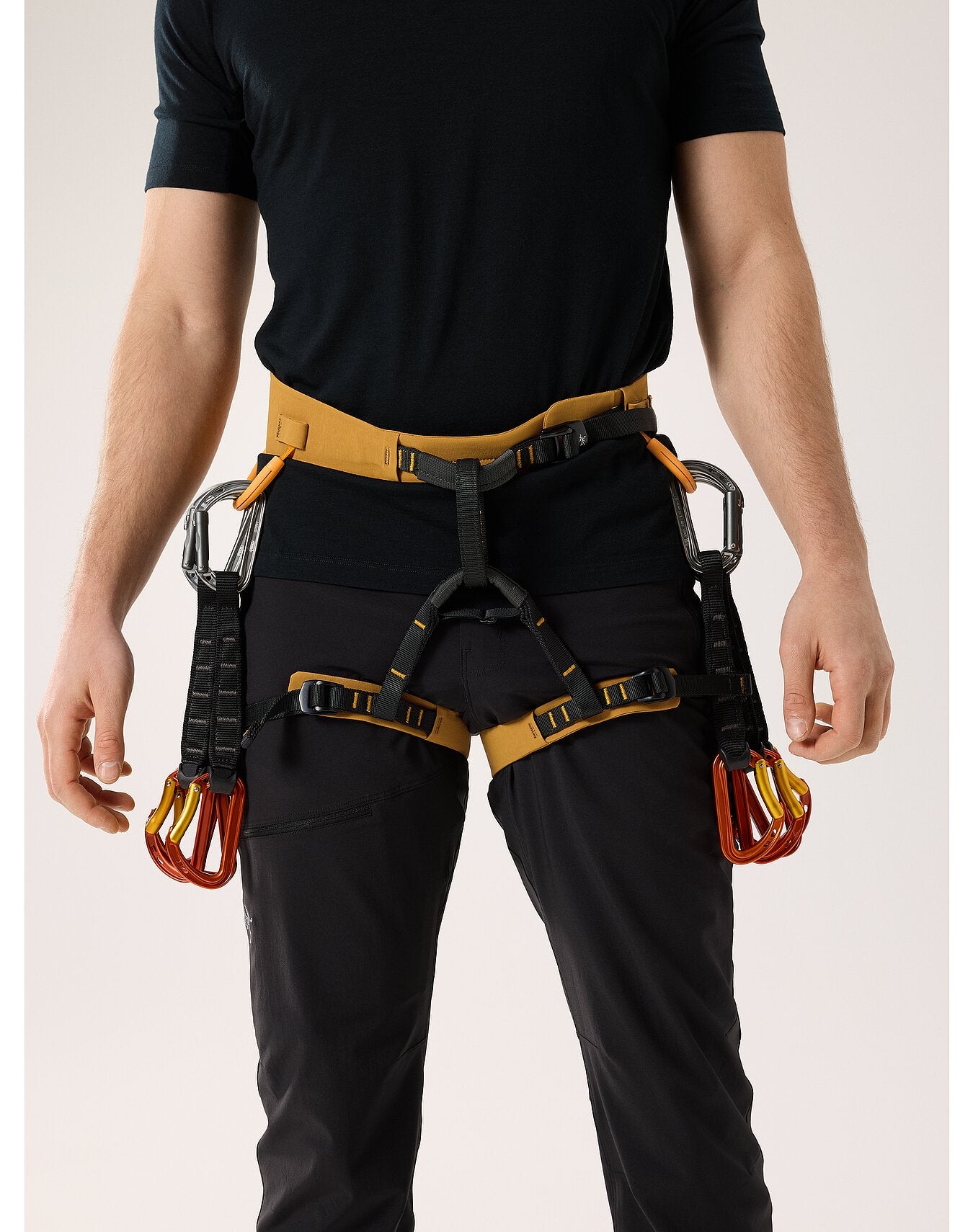 AR-395A Harness - Arc'teryx 