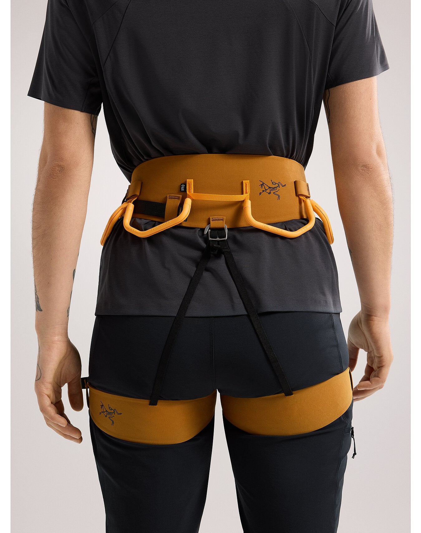 AR-385A Harness - Arc'teryx 