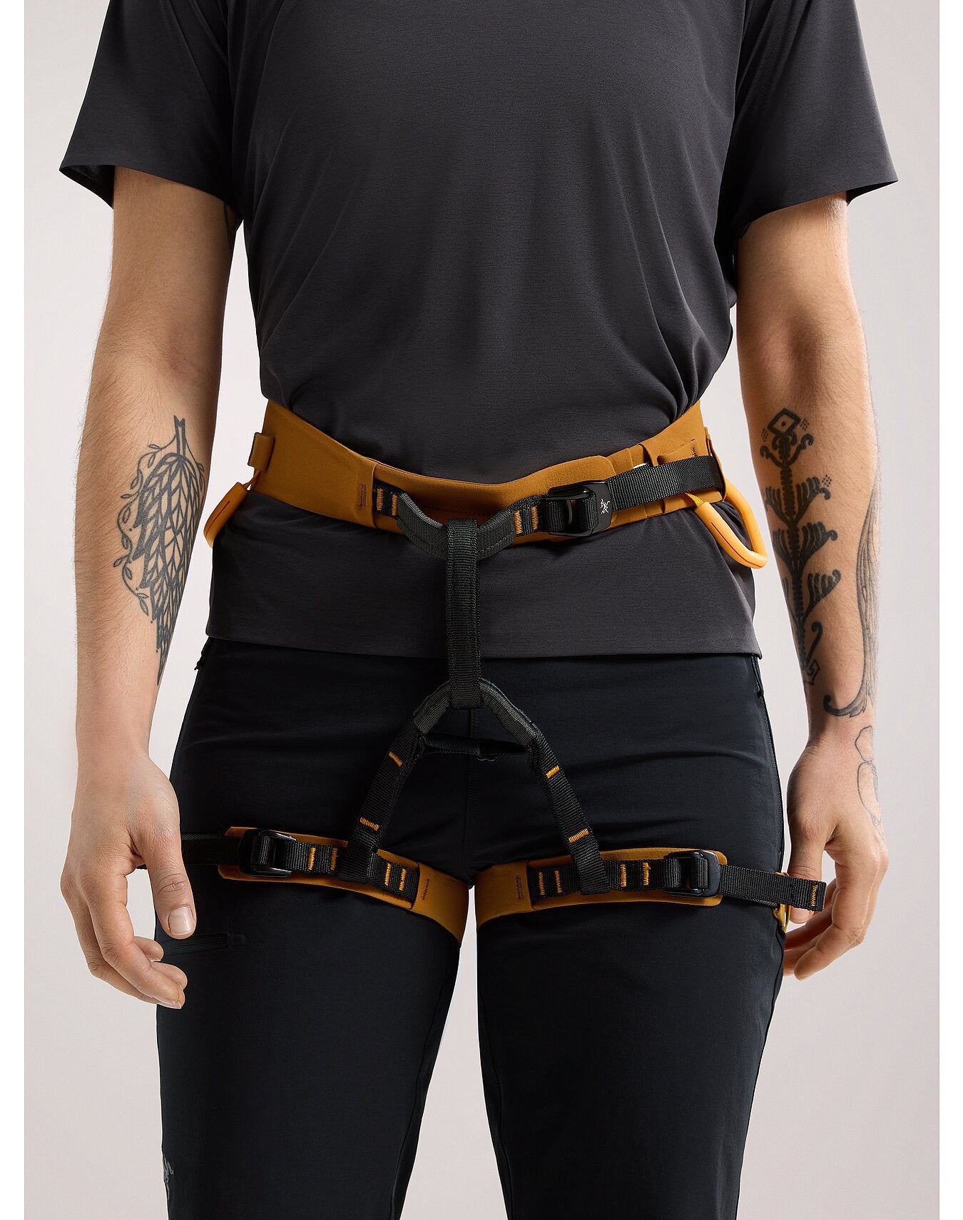 AR-385A Harness - Arc'teryx 