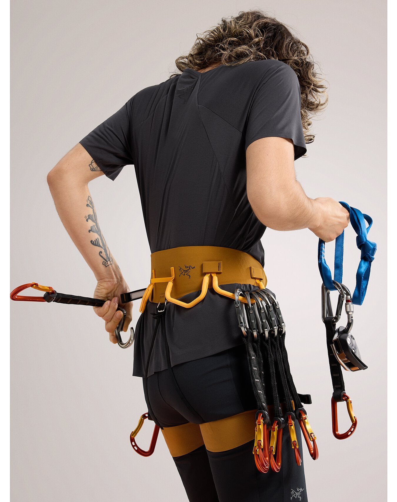 AR-385A Harness - Arc'teryx 