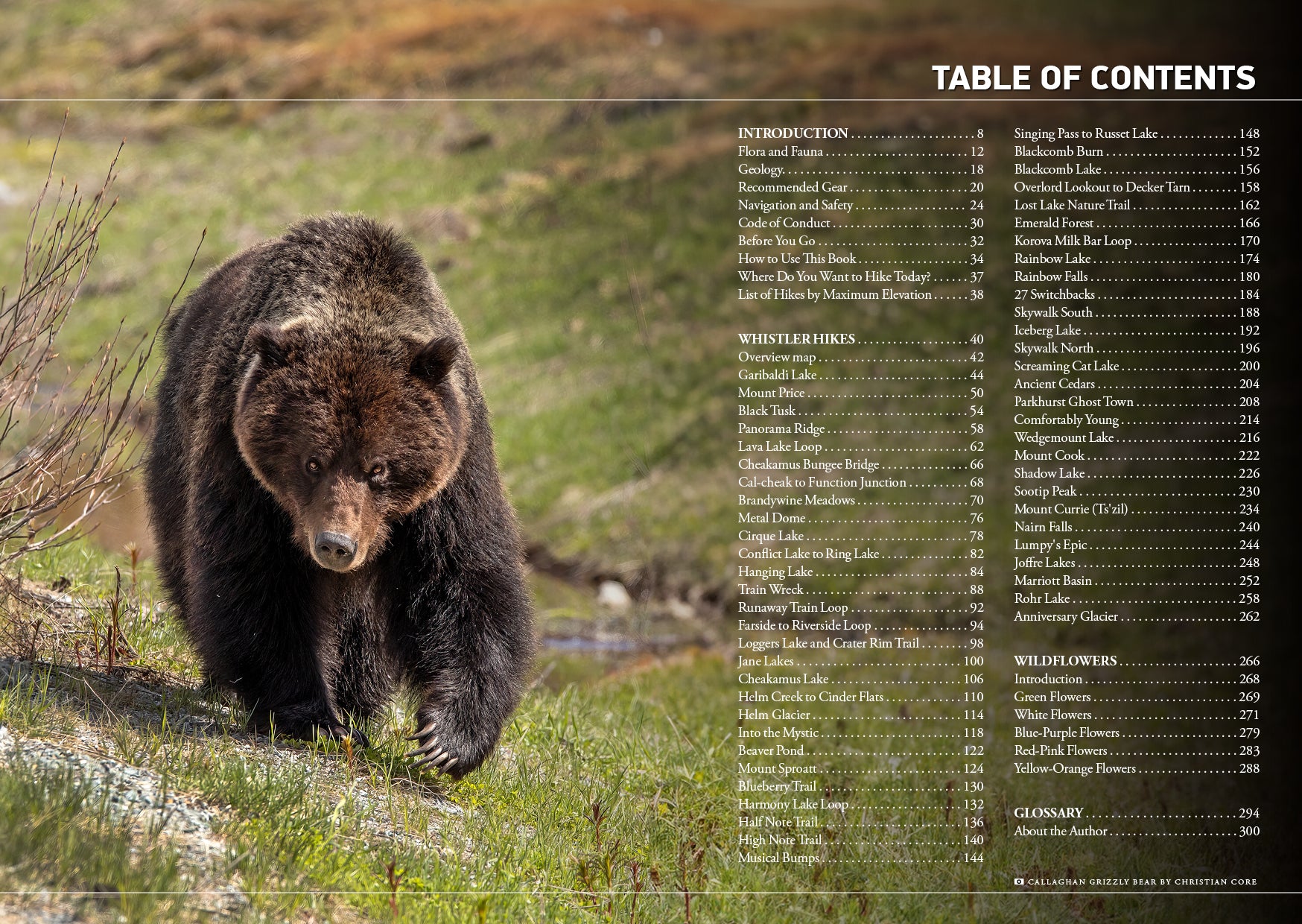 Vancouver Trail Running Book - QuickDraw Publications 