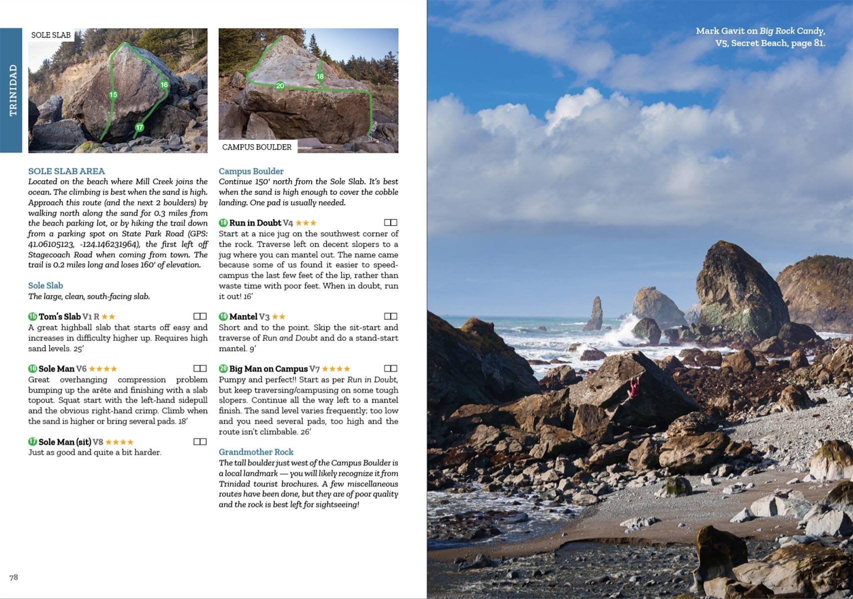 Redwood Burl Climbing Guide - Wolverine Publishing 