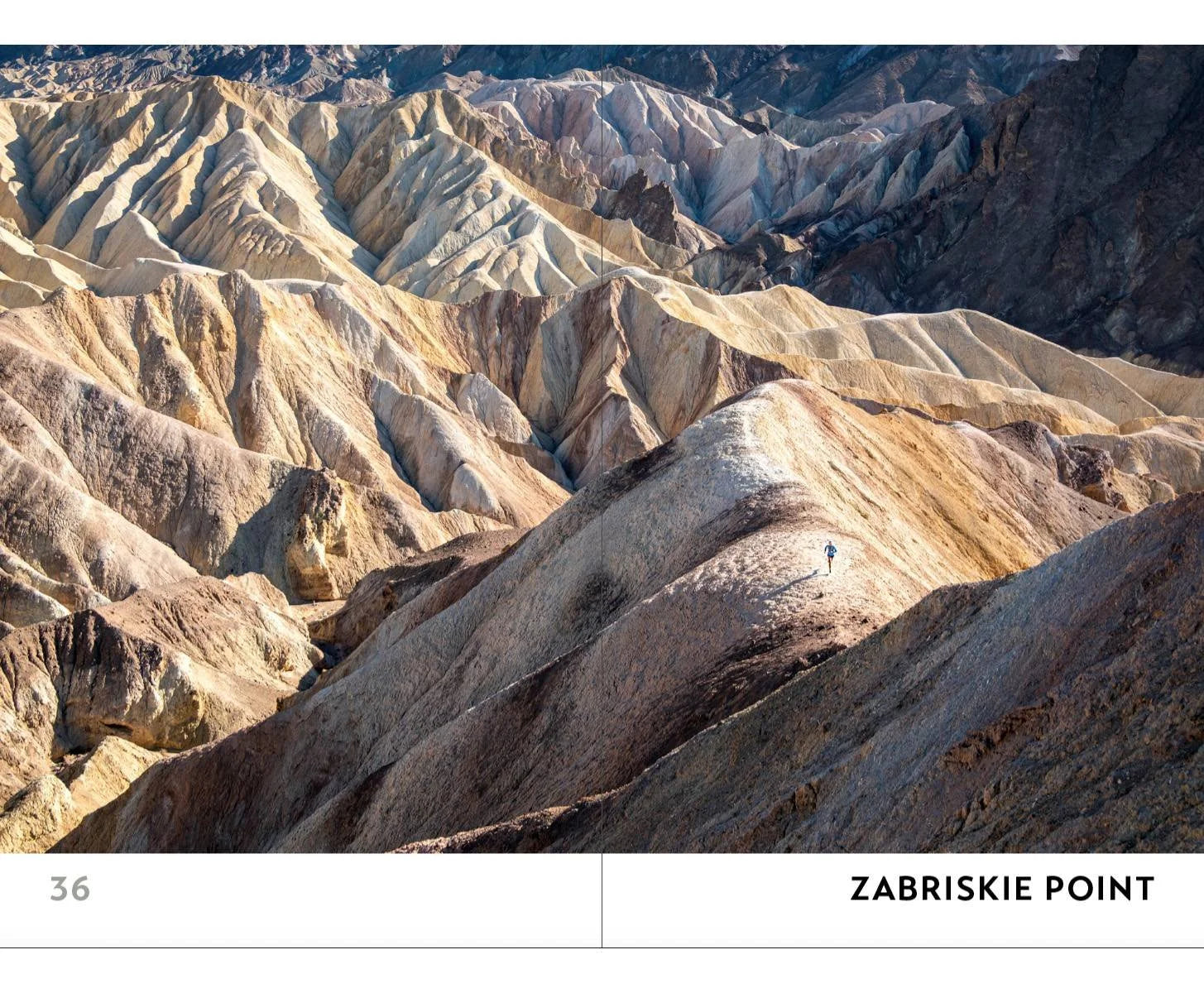 Livre Sierra Trail Runs - Wolverine Publishing