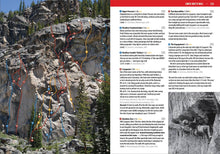 Load the image in the gallery, Climbing Guide The Pass - Wolverine Publishing 
