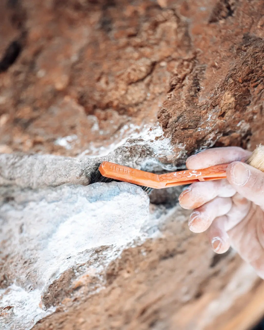 Brosse Bolt - Flashed