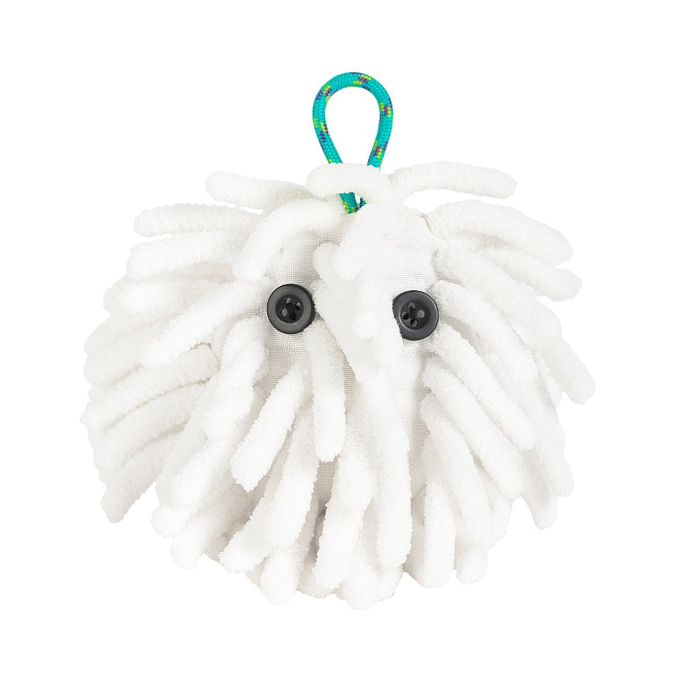 Chalktopus - Midnight Lightning 