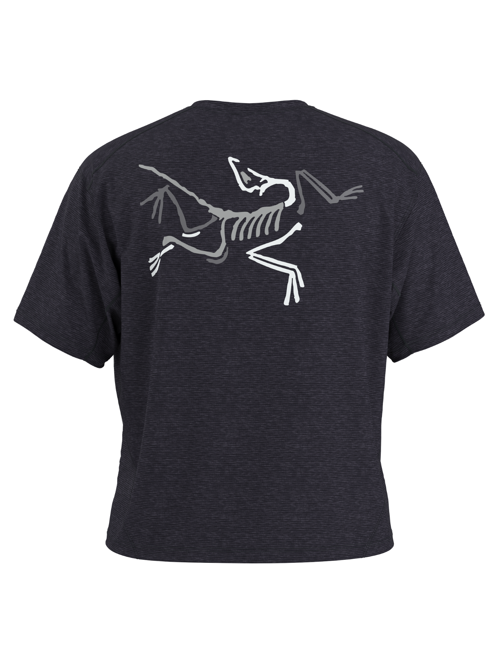 T-Shirt Taema Crop Logo F - Arc'teryx