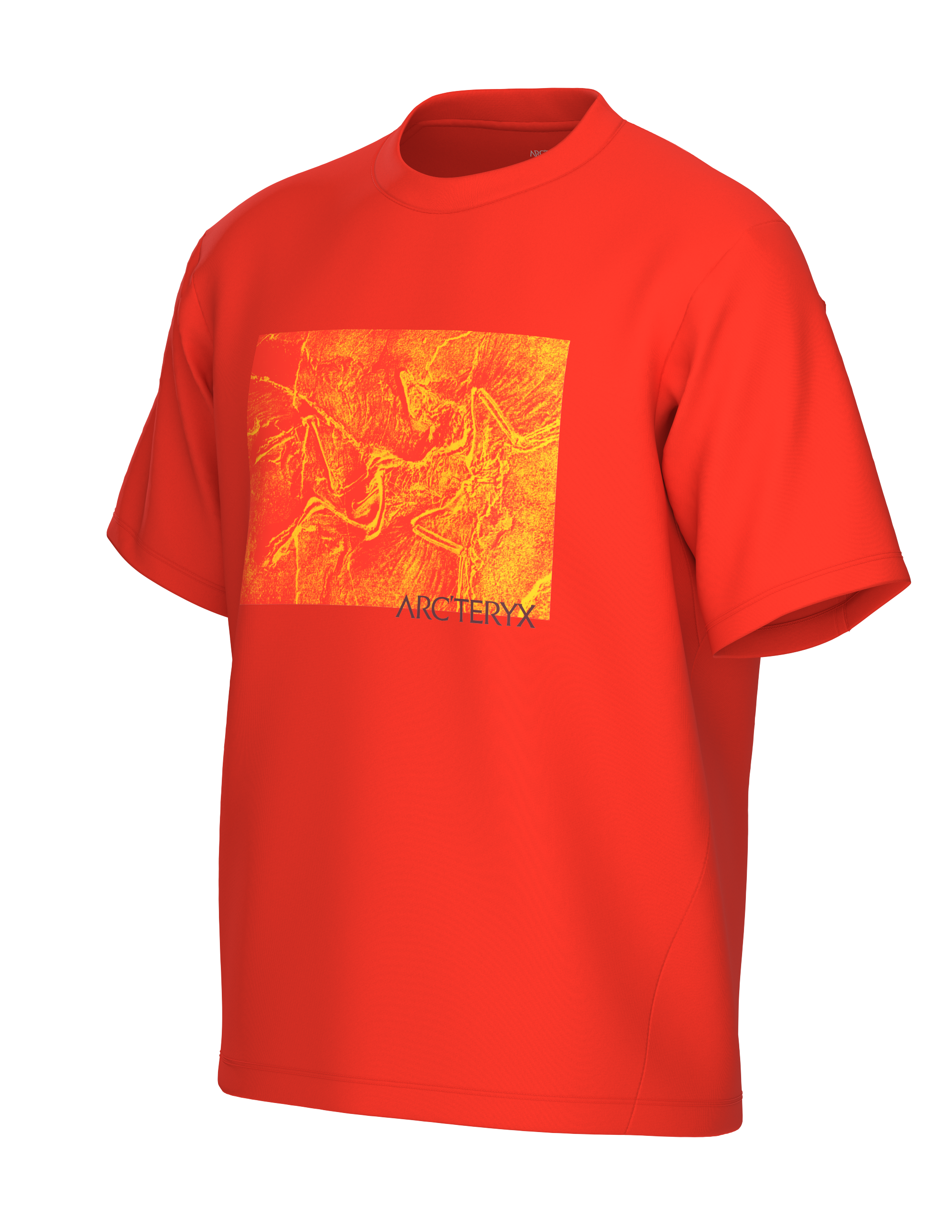 T-Shirt Kragg Cotton Lithographica H - Arc'teryx