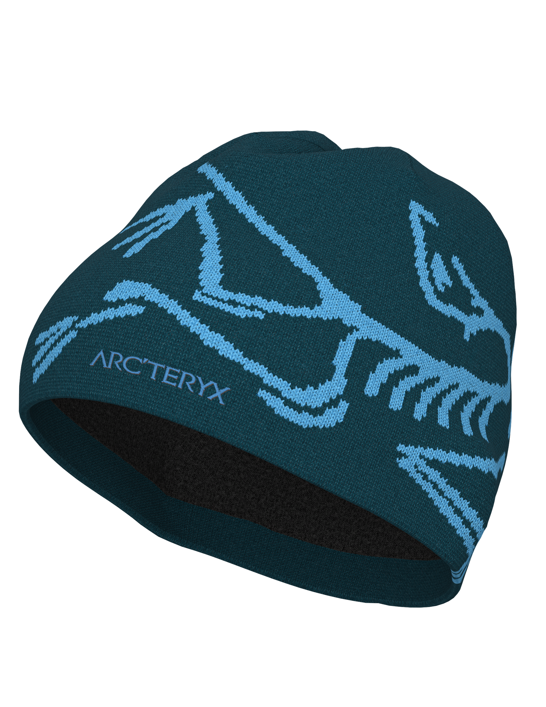 Tuque Bird Head Toque - Arc'teryx