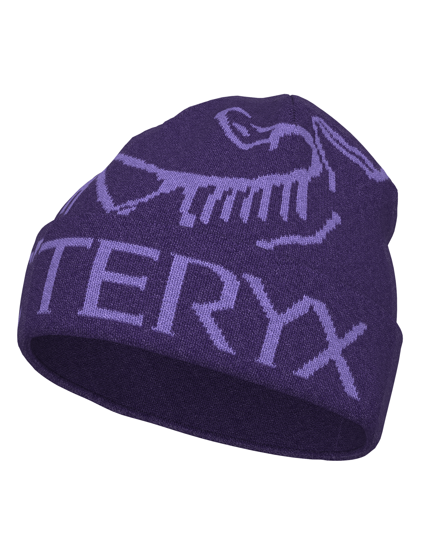 Tuque Bird Word Toque - Arc'teryx