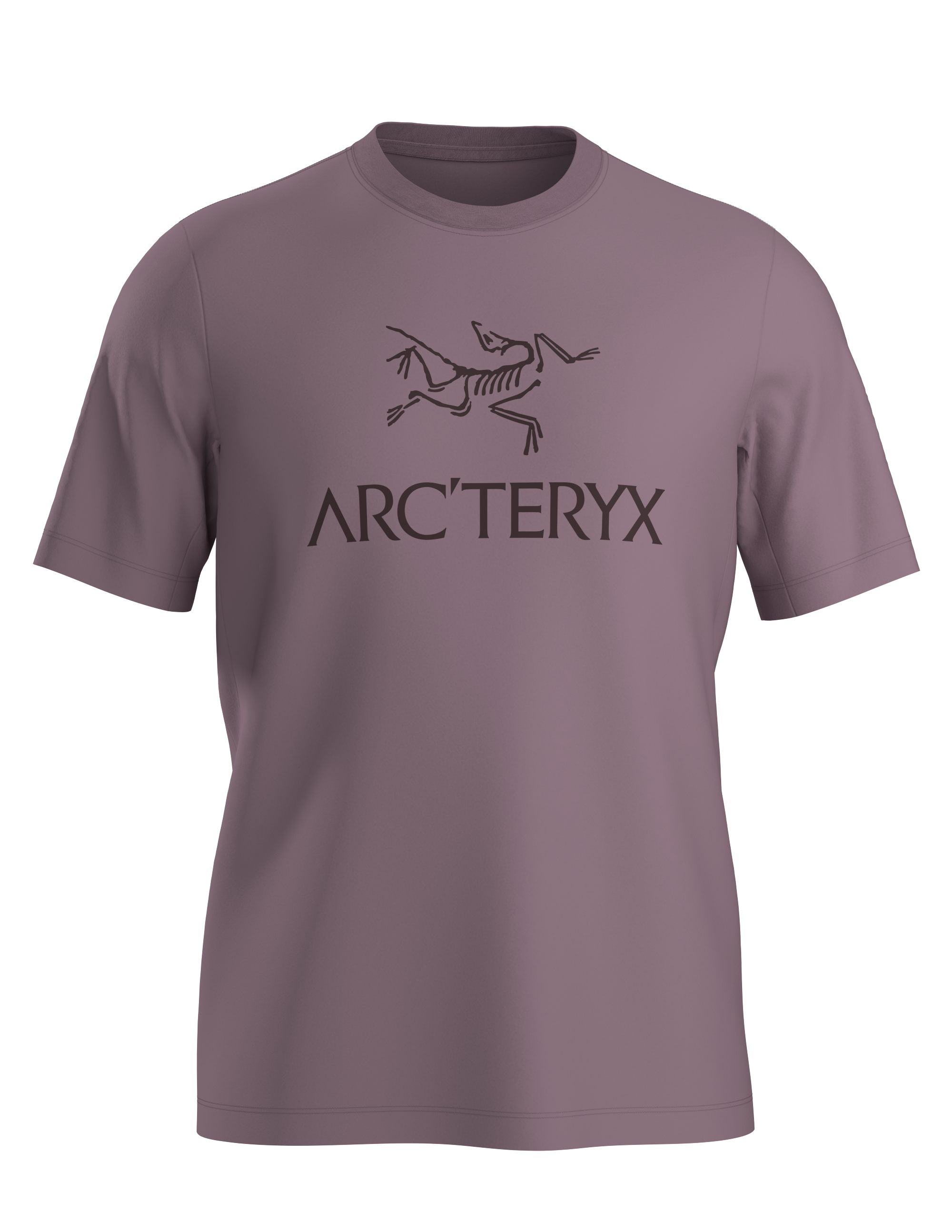 T-Shirt Arc'Word Logo H - Arc'teryx