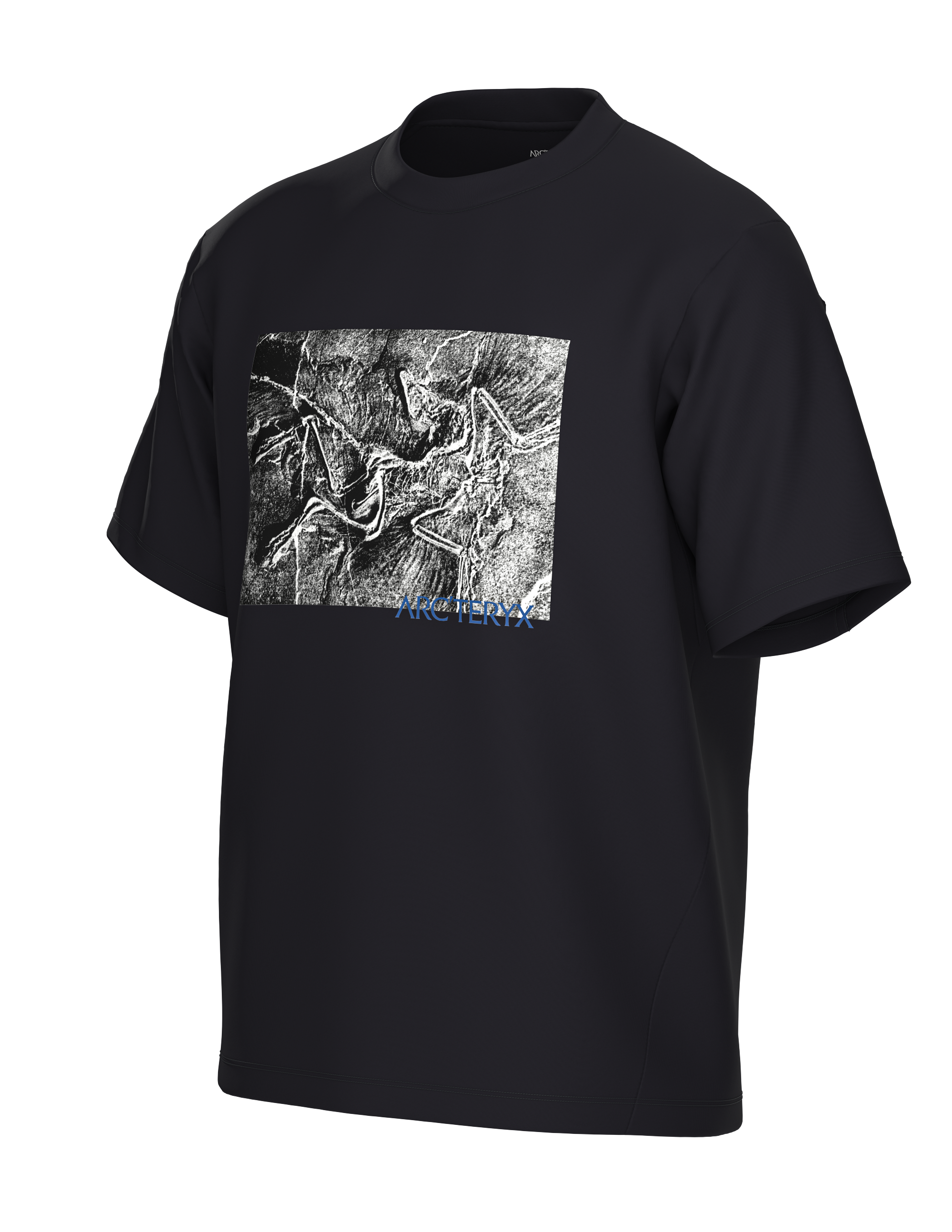 T-Shirt Kragg Cotton Lithographica H - Arc'teryx