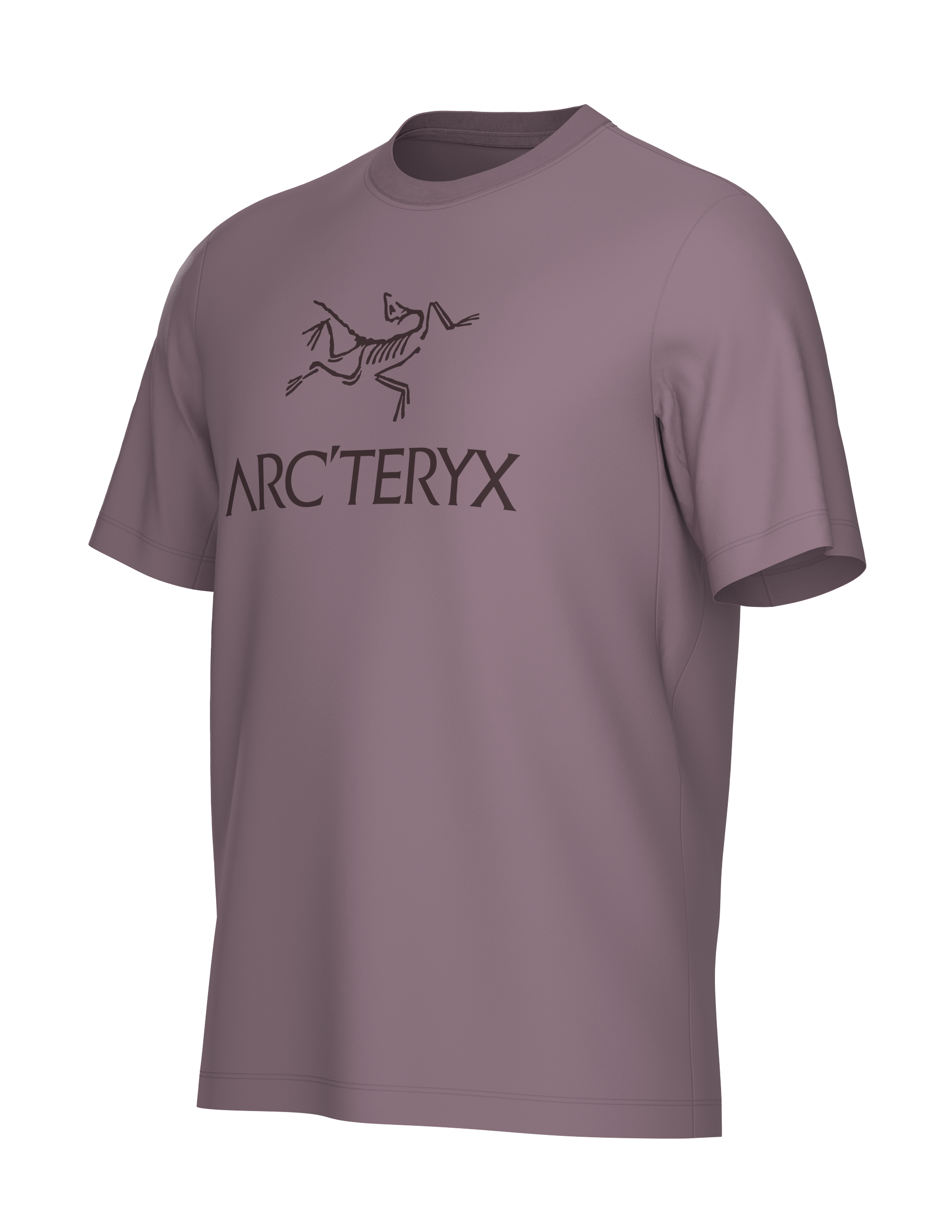 T-Shirt Arc'Word Logo H - Arc'teryx