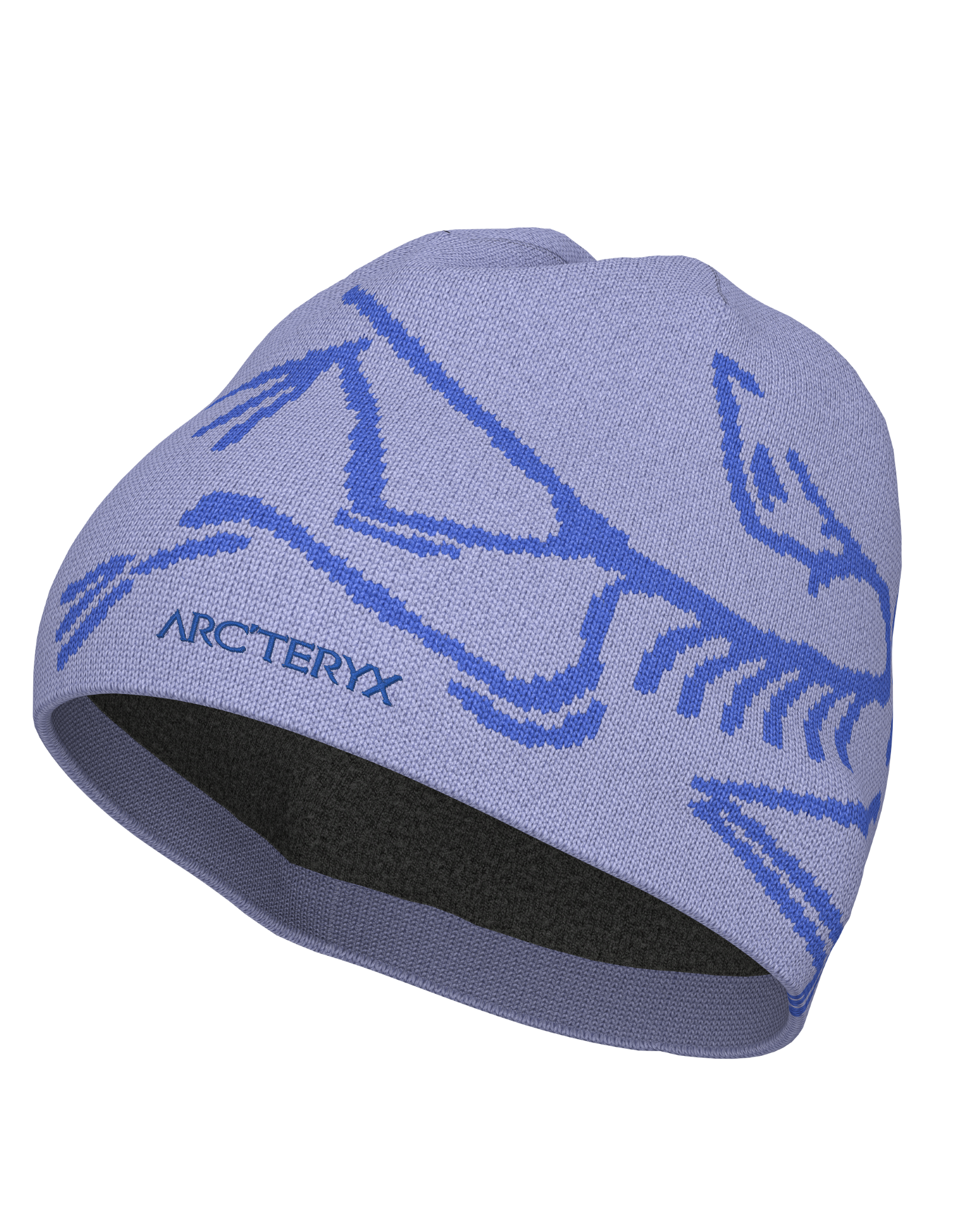 Tuque Bird Head Toque - Arc'teryx