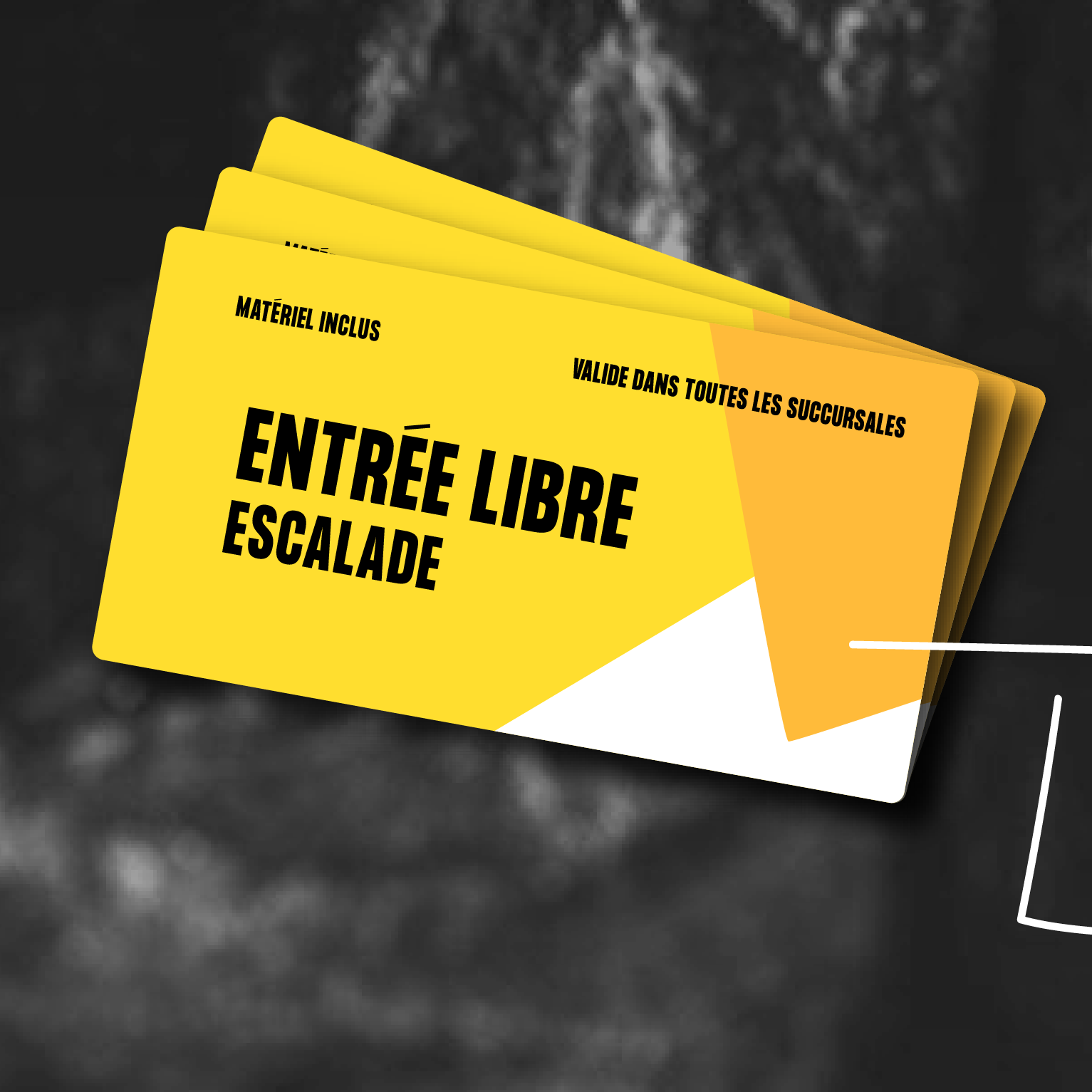 ENTRÉE MATÉRIEL INCLUS