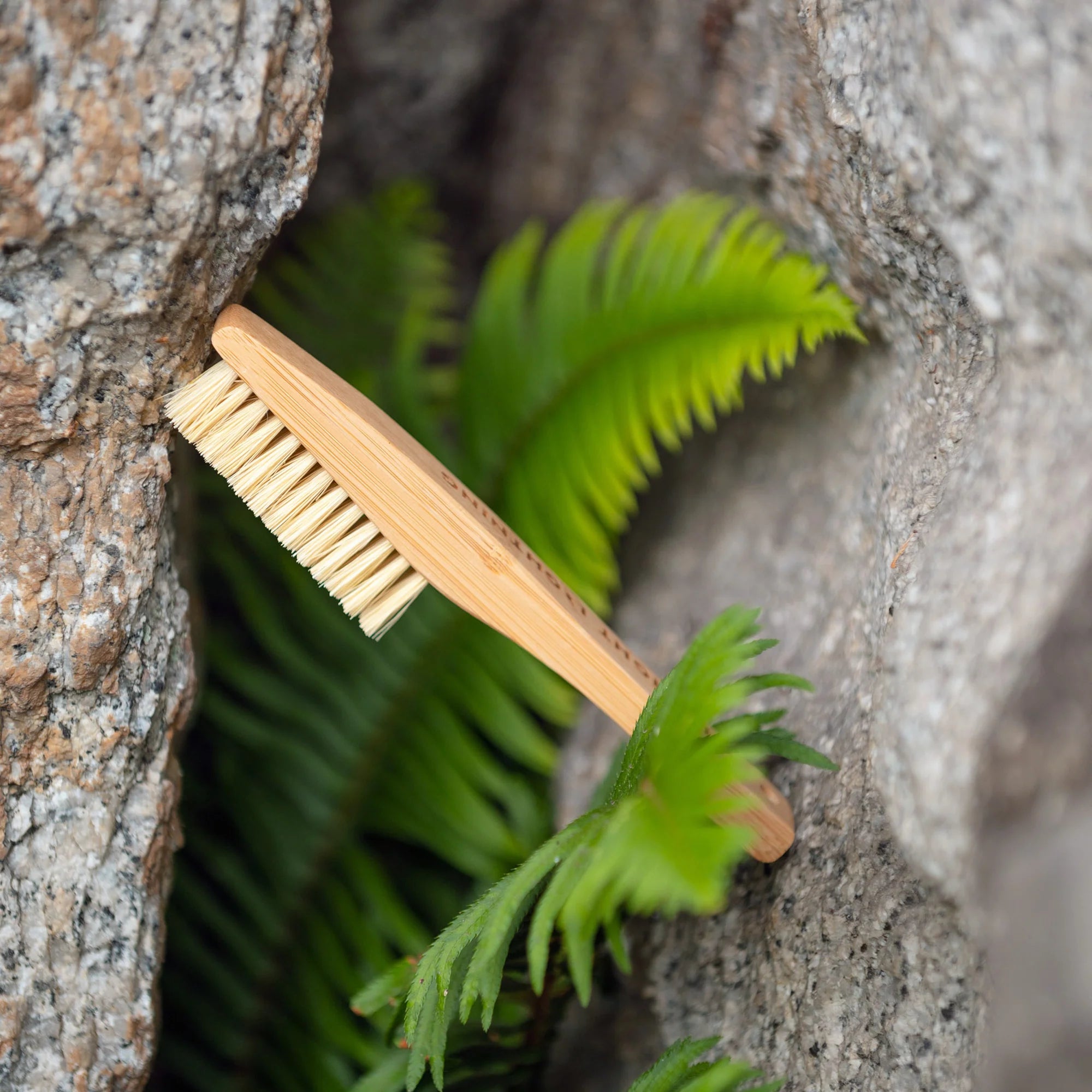 Brosse Vegan Eco-Brush - Metolius