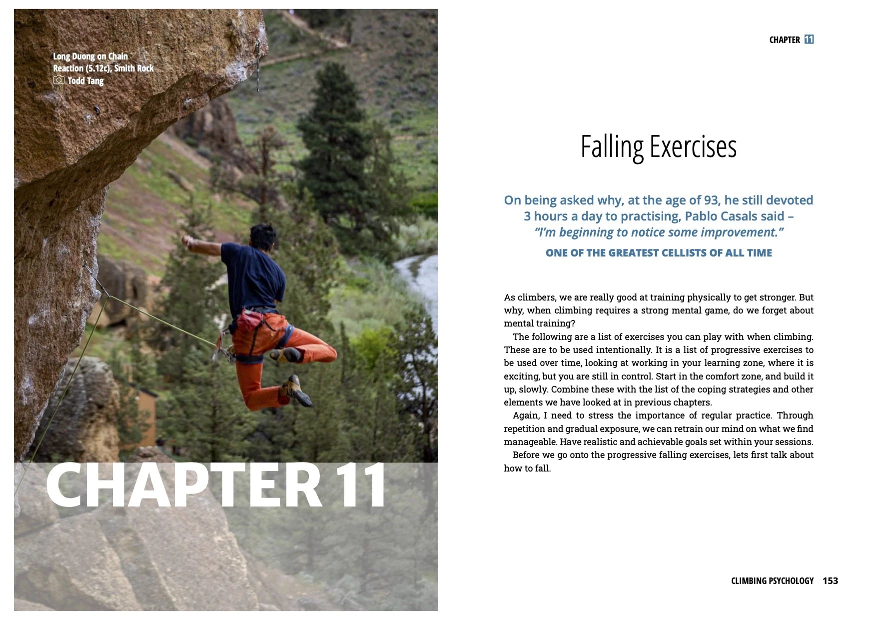 Book Climbing Psychology - Wolverine Publishing 