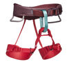 Momentum Harness for Kids - Black Diamond 