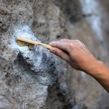 Bamboo Brush - Metolius 